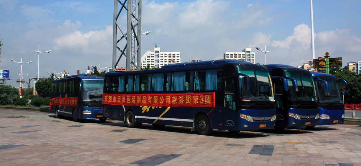 6 buses at the them park's parking lot makes a good scenery view